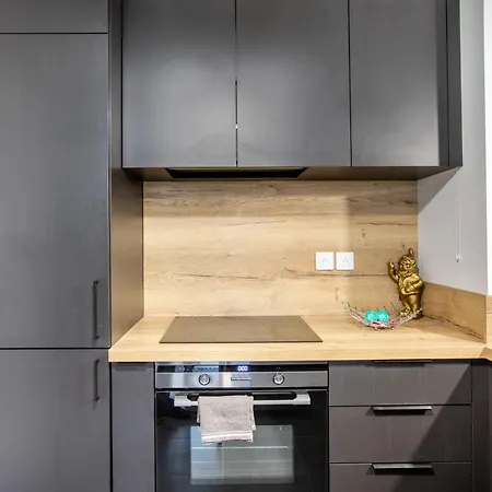 Superbe T3 Neuf Avec Balcon & Parking Apartment Colmar