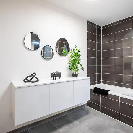 Superbe T3 Neuf Avec Balcon & Parking Colmar