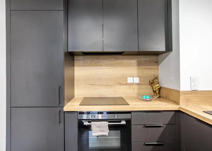 Superbe T3 Neuf Avec Balcon & Parking Apartment Colmar
