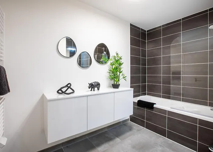 Superbe T3 Neuf Avec Balcon & Parking Colmar